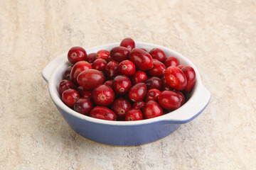 Ripe sweet tasty cranberry in the bowl
