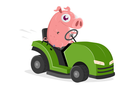 funny illustration of a cartoon pig with lawn mower tractor