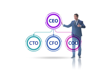 Illustration of organisation chart with various executives
