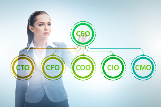 Businesswoman in the organisation chart concept