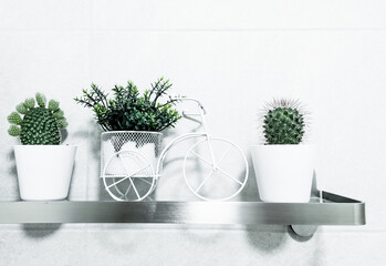 Home decoration concept. Bicycle as a decorative metallic vase for plants. Cactuses in the decorative ceramic vases on a white colored wooden shelf. Flat Easter decorations.