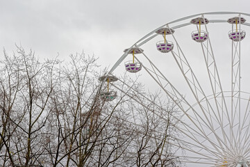 detail of a feriris wheel above a bare tree on a cloudy sky
