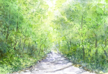 森の遊歩道の水彩画　