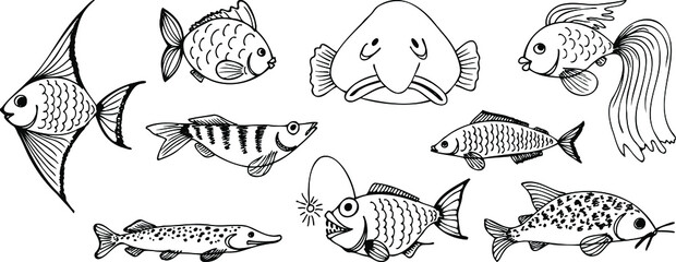 Set of vector illustrations. Abstract Fish.