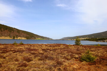 View on the park of the Rousses Lake in Les Rousses in the  Jura department