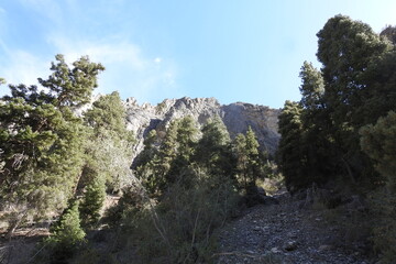 The scenic landscape of  the remote wilderness of Carpenter Canyon, in the Humboldt-Toiyabe National Forest, Clark County, Nevada.