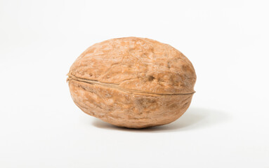 Walnuts are rounded, single-seeded stone fruits of the walnut tree.