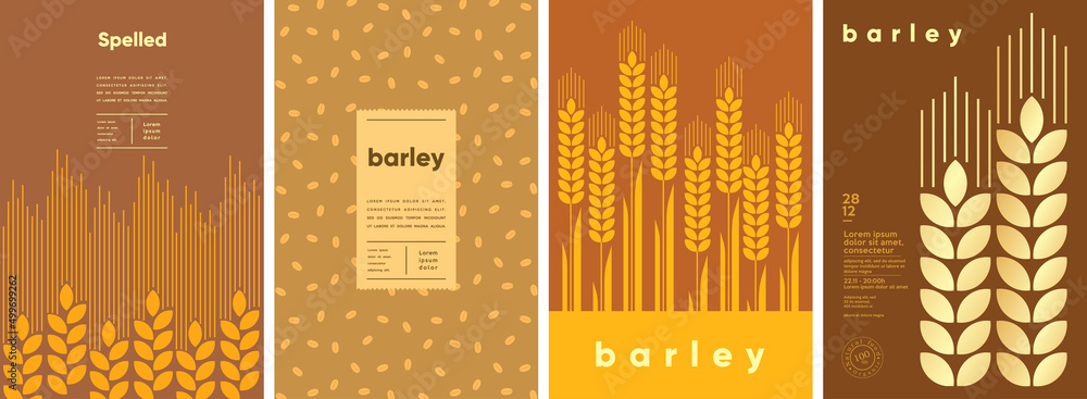 Wall mural barley. spelled. set of vector illustrations. label design, price tag, cover design. backgrounds and