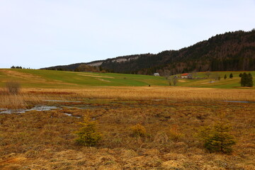 View on the park of the Rousses Lake in Les Rousses in the  Jura department