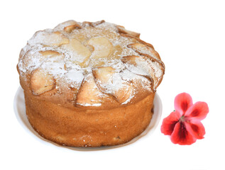 Delicious apple pie on light background