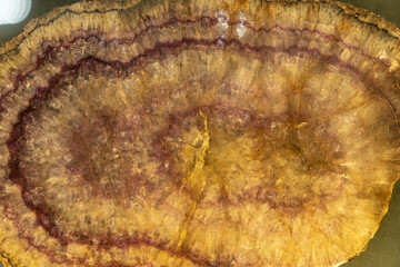 Fluorite close-up. Mineral fluorite background, texture. paleontological background