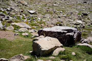 Ochre-naped ground tyrant looking sideways perched on a rock in a valley with some grass.