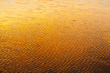 Reflection of sunrise in the water of a lake, Florida, USA