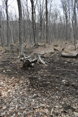 Mont Ham 16 Au 18 Avril 2022