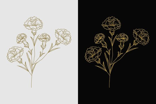 Botanical Floral Hand Draw Vector
