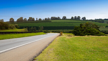 Brazilian highway. Scenic country view. Agriculture landscape.