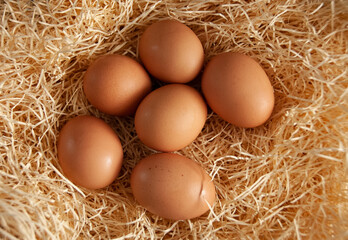 Brown eggs in a basket of straw; all eggs in one basket
