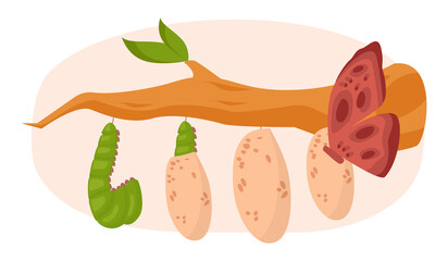 Transforming concept. Transformation metaphor, changing and evolution