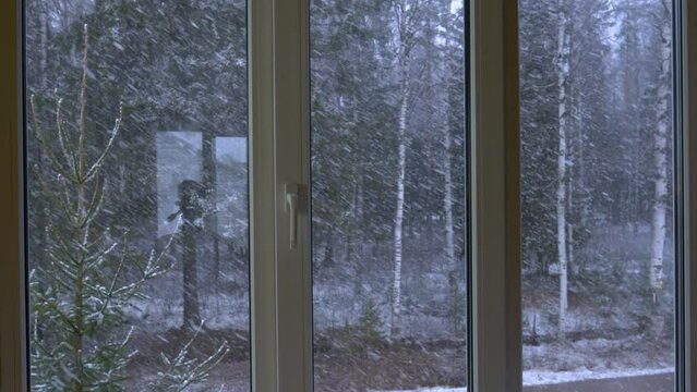 Snow outside the window against the background of the forest. High quality 4k footage