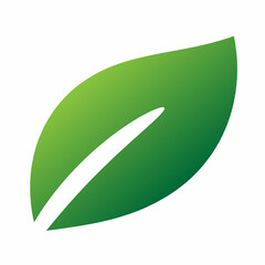 green leaf isolated on white background