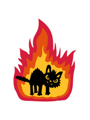 Brennende heiße Katze 