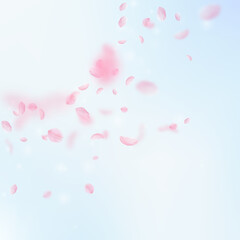 Sakura petals falling down. Romantic pink flowers corner. Flying petals on blue sky square background. Love, romance concept. Tempting wedding invitation.