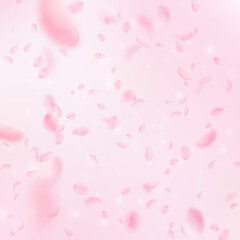 Sakura petals falling down. Romantic pink flowers falling rain. Flying petals on pink square background. Love, romance concept. Neat wedding invitation.