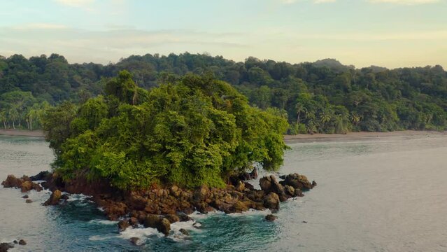 Pacific Coast With Rainforest