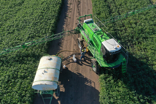 Soybean fumigation