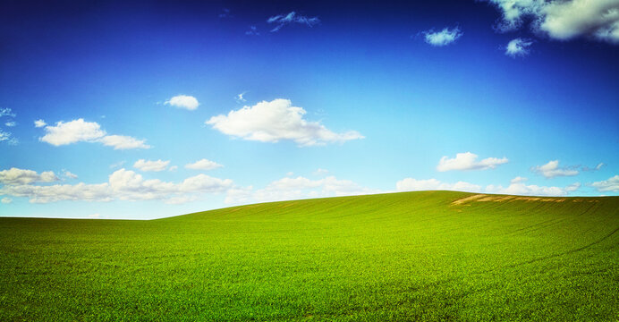 A field of green grass against a perfect bue sky - copyspaceA landscape photo of a green field and blue sky - ALL design on this image is created from scratch by Yuri Arcurs team of professionals for