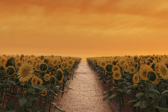 3d Rendering of pathway in the middle of blooming sunflower field in front of evening sky
