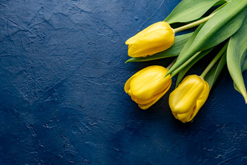 Yellow tulips bouquet on dark blue background.