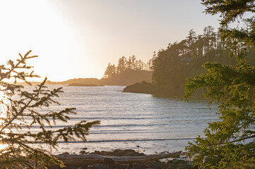Shoreline at wild pacific trail in Ucluelet, Vancouver Island