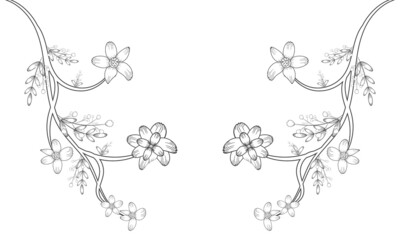 Coloring page | floral vintage sketch coloring page Black and white with line art on white backgrounds.