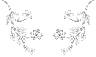 Coloring page | floral vintage sketch coloring page Black and white with line art on white backgrounds.