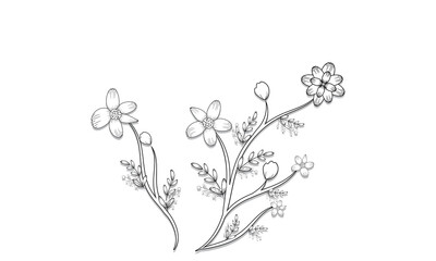 Coloring page | flower coloring page on white background hand Drawn Botanical Illustrations.
