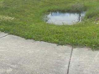 Obraz premium path in the grass