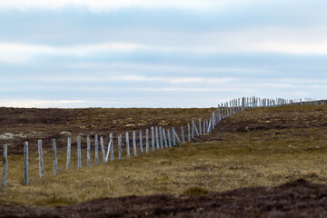 A barbed wired fence is located through a grassy meadow with a slight upward slope. At the top of the hill, there's a blue sky with clouds. The field is yellow and marshy with a bog in the foreground.