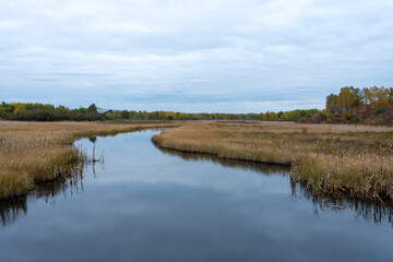 A marsh and barren land with a small pond in the center in autumn. There are trees, shrubs, and large boulders and rocks scattered across the ground. The sky is blue with layers of thick clouds.