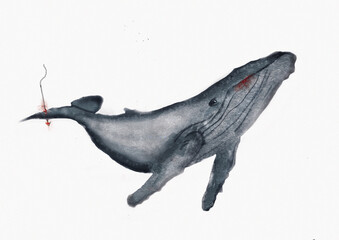 Ballena, mar, vida de mar, acuático, ecología, marítimo, hermoso, ilustración, marino  © Mossber