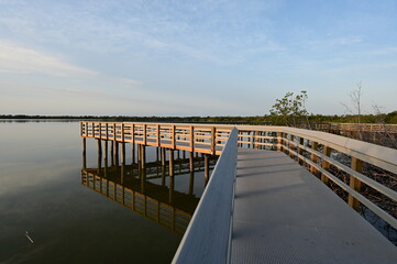 Fototapeta premium Boardwalk on West Lake in Everglades National Park, Florida recently reopened after extensive repairs following Hurricane Irma damage, at sunrise.