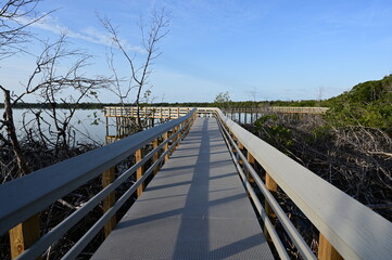 Fototapeta na wymiar Boardwalk on West Lake in Everglades National Park, Florida recently reopened after extensive repairs following Hurricane Irma damage, at sunrise.
