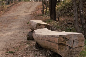 Fototapeta na wymiar 森の中にある木製ベンチ