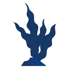 blue algae illustration