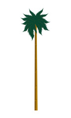 beach palm illustration