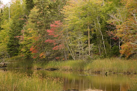 Autumn Colors Along The Winter River, Charlotte Parish, Prince Edward Island, Canada