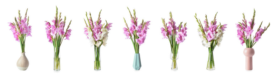 Set of vases with beautiful gladiolus flowers isolated on white