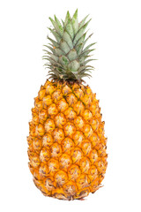 Juicy ripe pineapple isolated