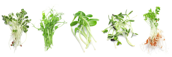 Assortment of healthy micro greens on white background, top view - obrazy, fototapety, plakaty