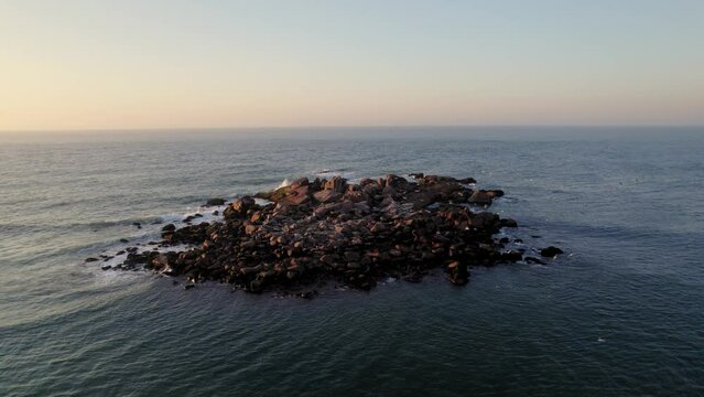 Drone footage of seagulls flying around an island at sunrise, Laguna, Santa Catarina, Brazil
